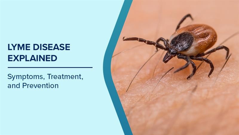 Lyme Disease
