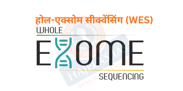 Whole-Exome Sequencing (WES)